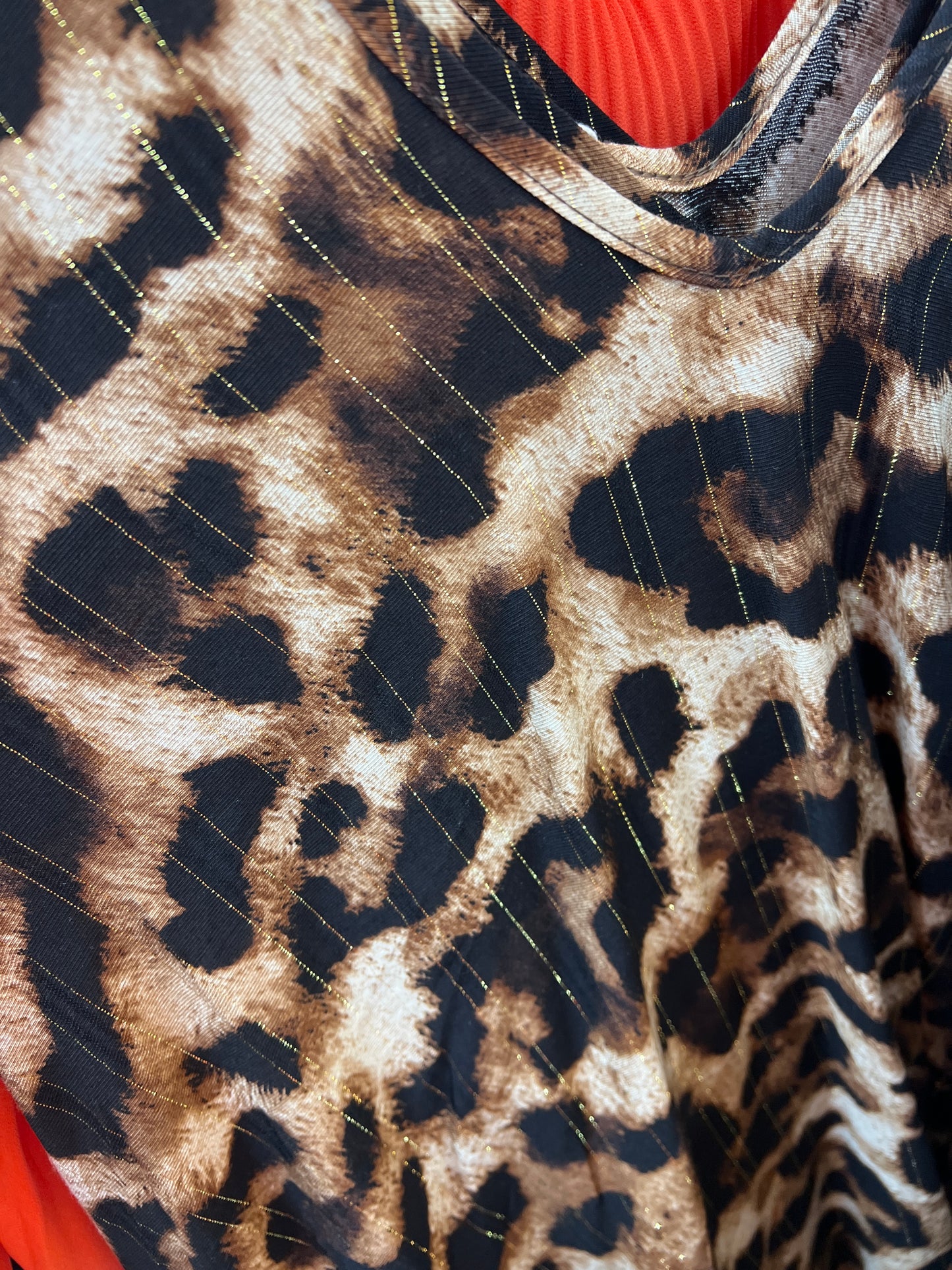 Leopard Print Sleeveless Maxi Dress