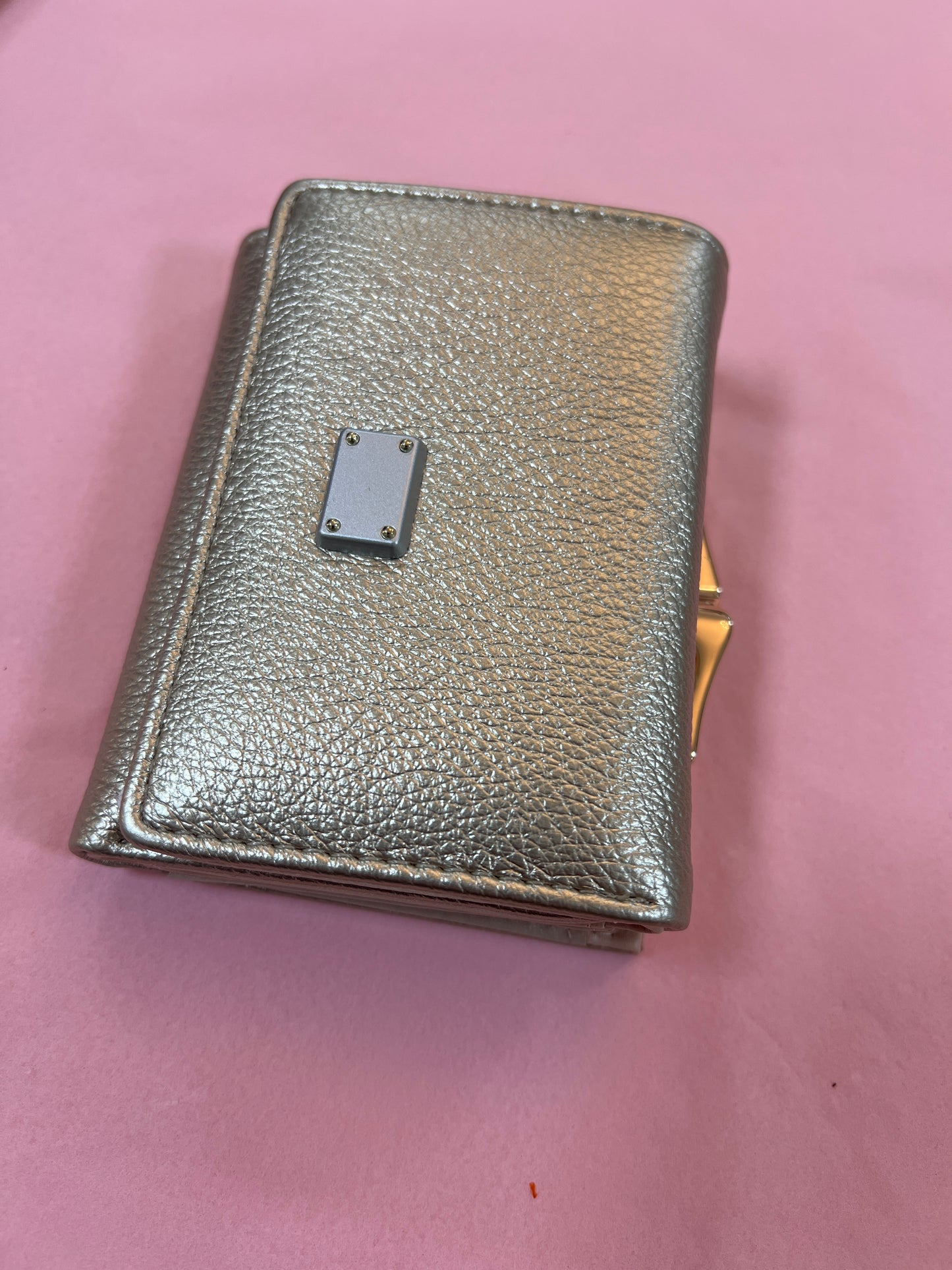 Small Leatherette Purse