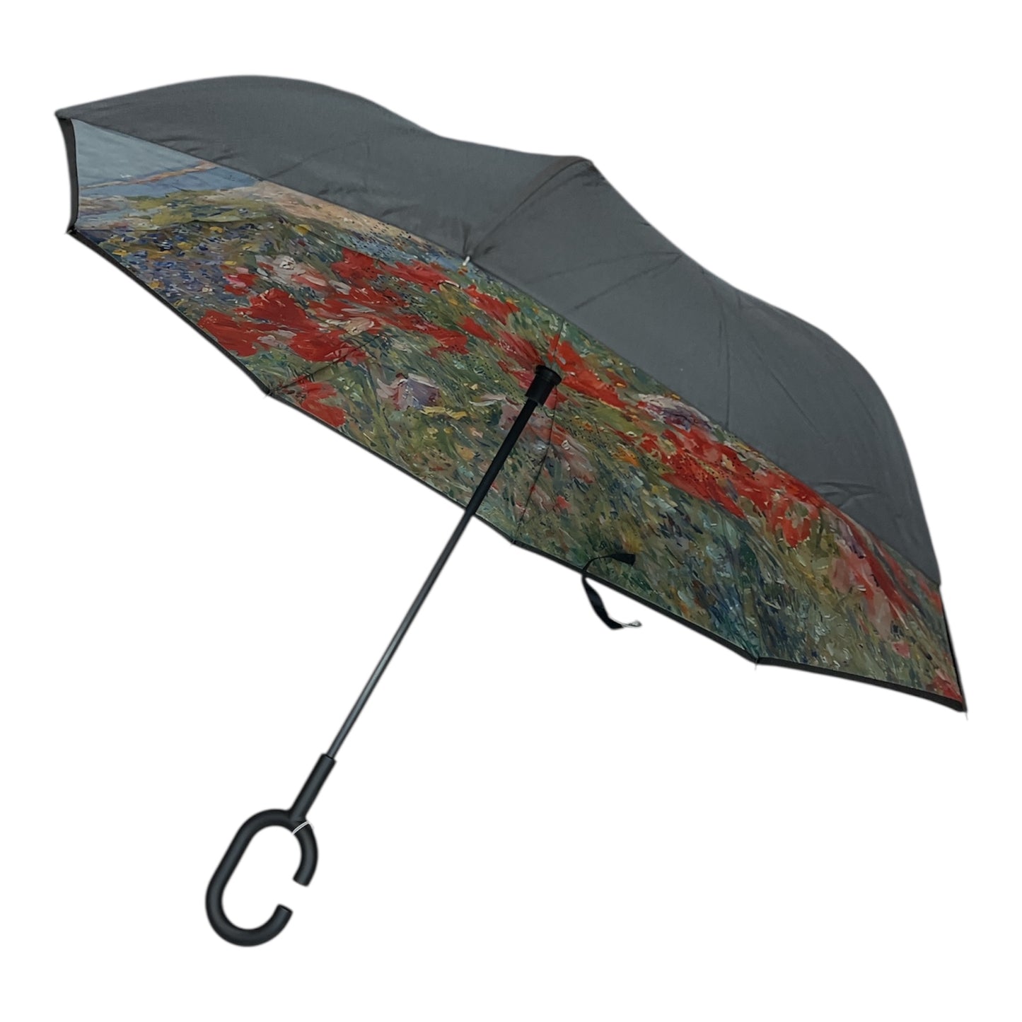Upside Down Umbrella Autumn Landscape Scene
