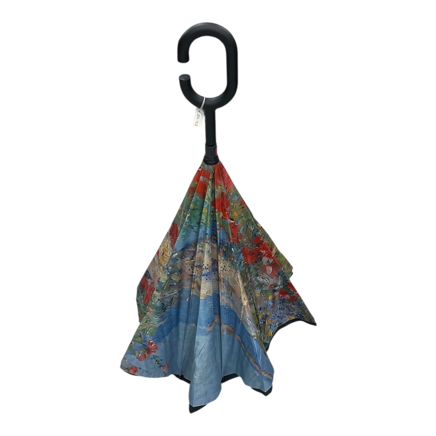Upside Down Umbrella Autumn Landscape Scene
