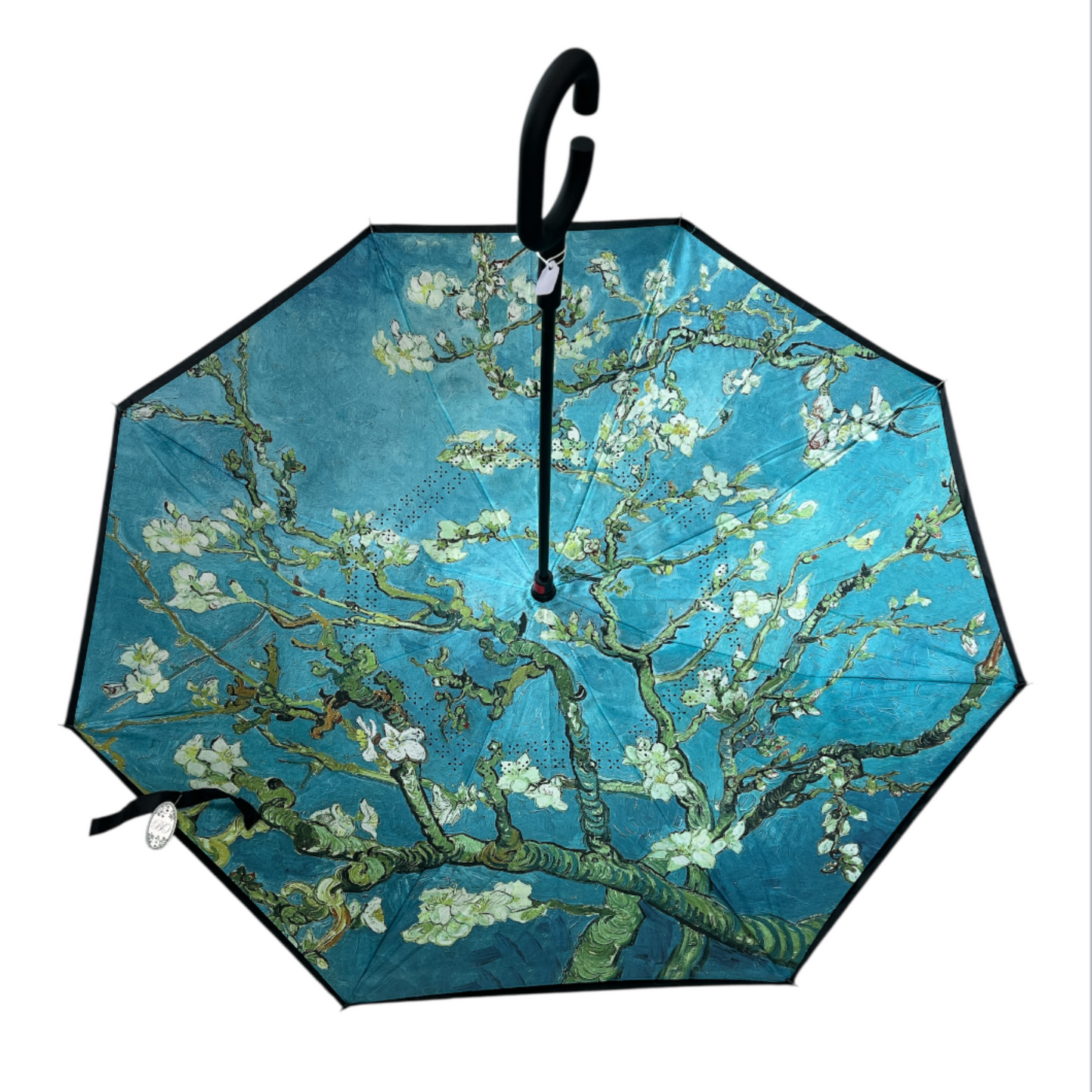 Upside Down Umbrella Teal Design