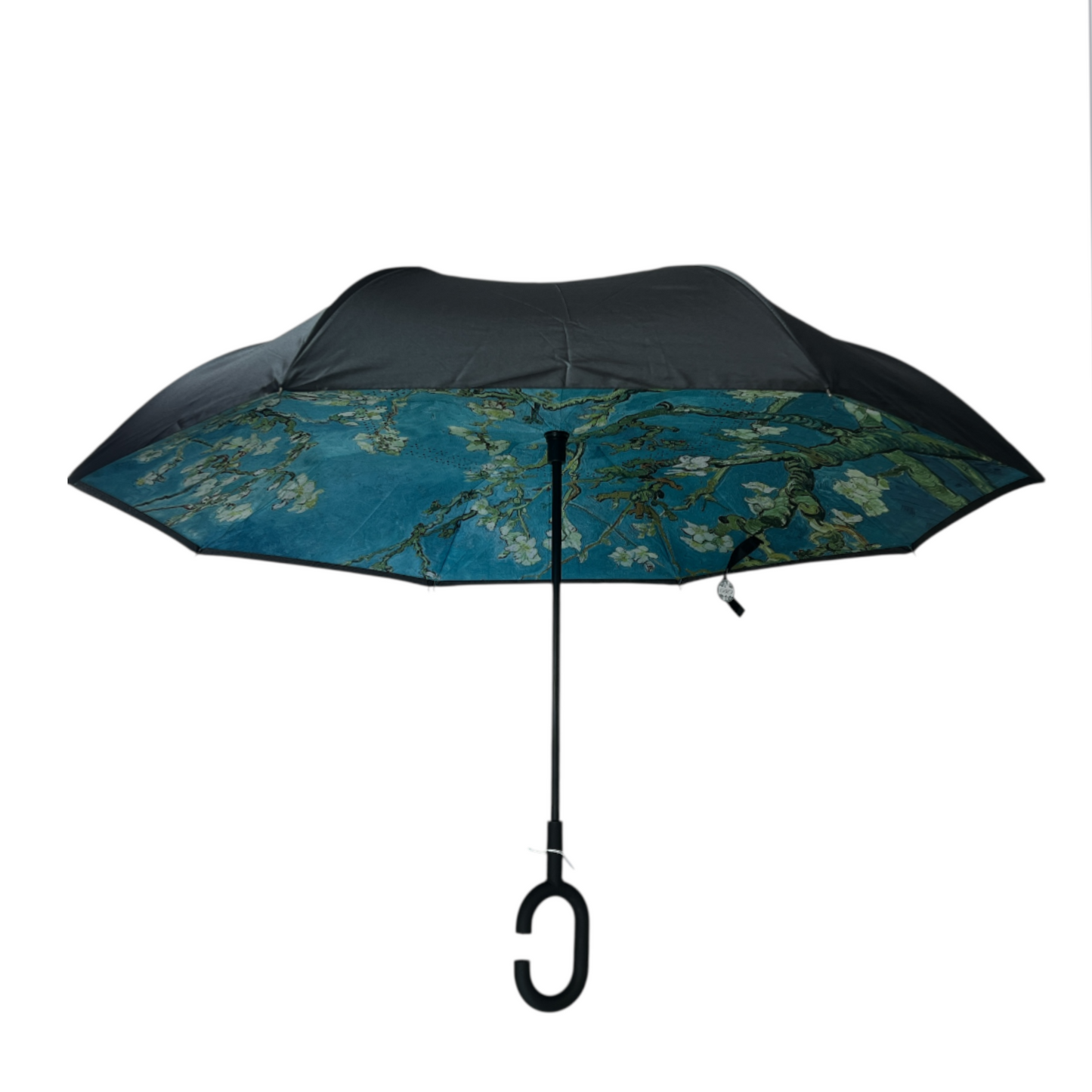 Upside Down Umbrella Teal Design