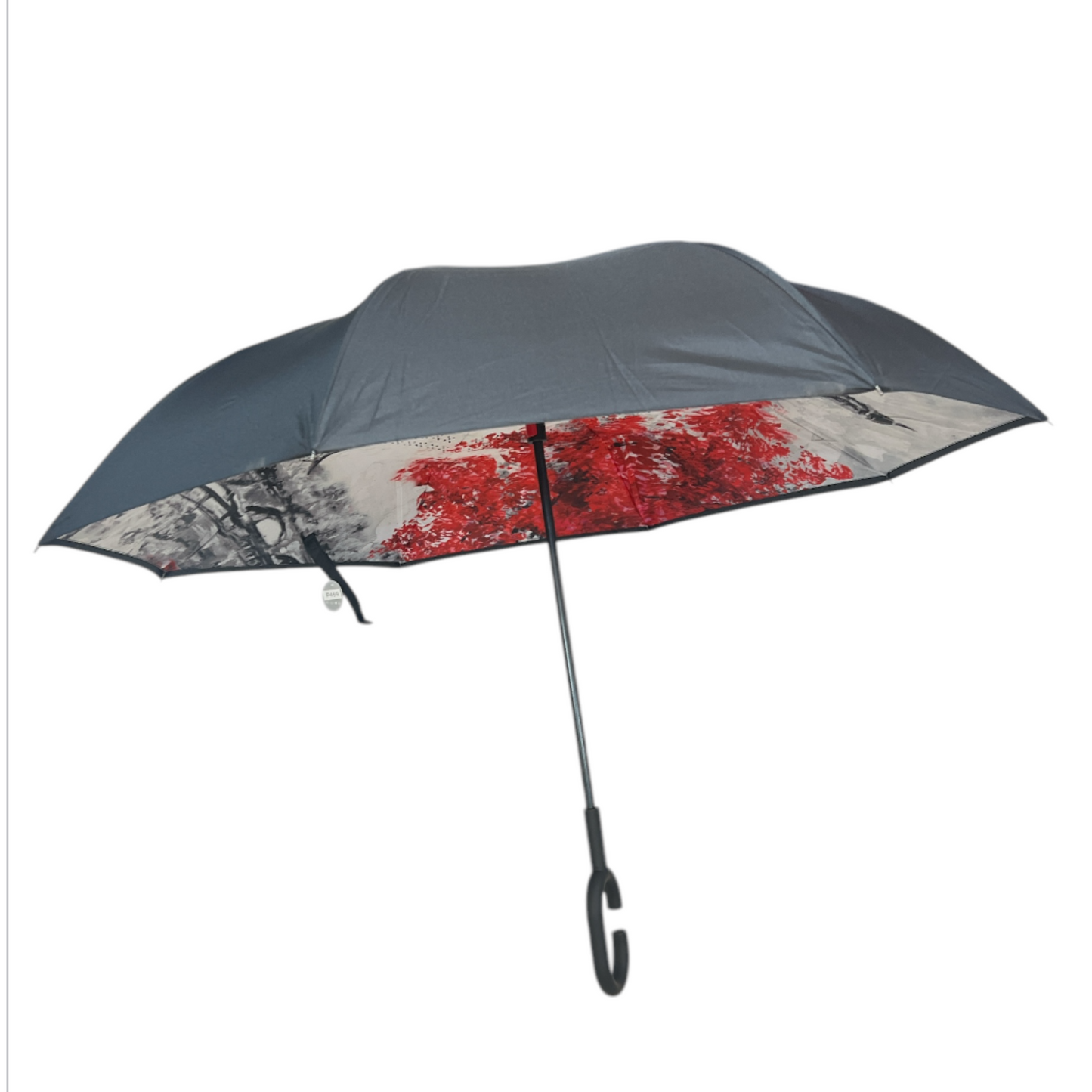 Upside Down Umbrella Eiffel Tower