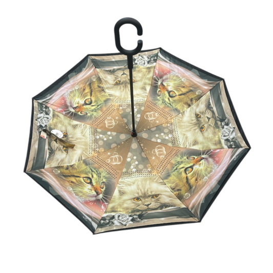 Upside Down Umbrella Cats Design