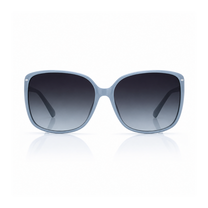 Blue Framed Sunglasses